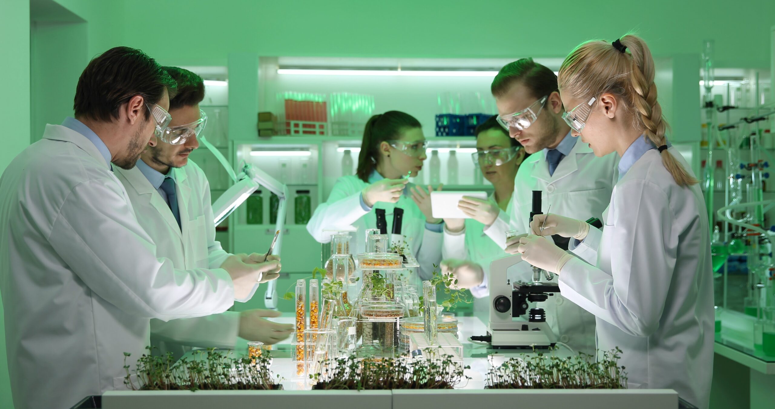 Gıda İlaç ve Sağlık Sektörü Çözümleri