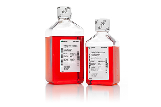 DMEM (Dulbecco’s Modified Eagle Medium)